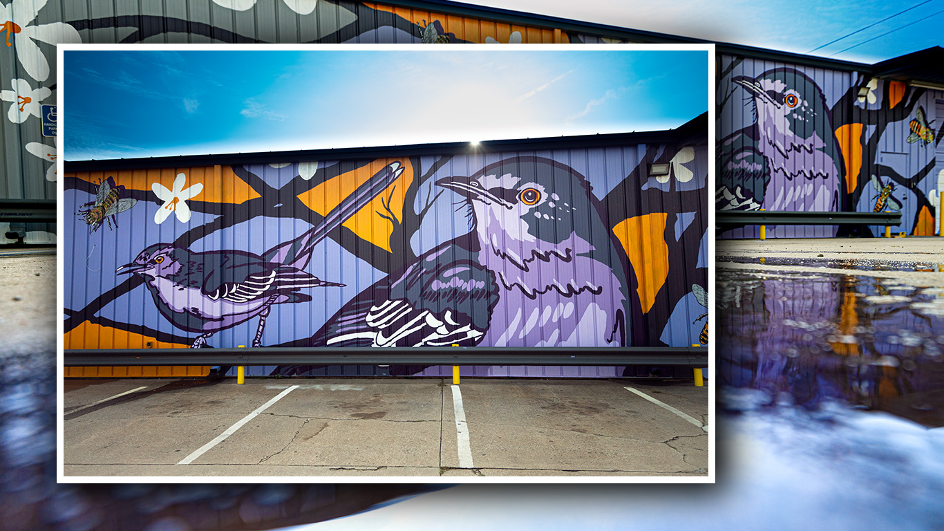 Mockingbirds and Flowers Mural